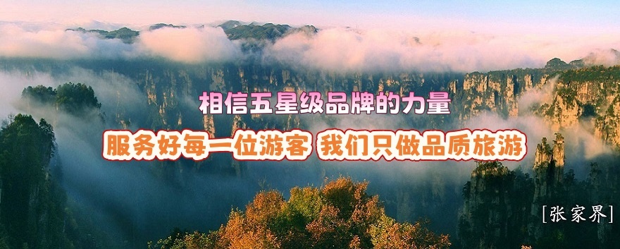 張家界中國旅行社連續榮膺“五星級旅行社”